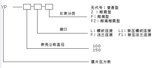 YP-100F1-F不锈钢膜片压力表0-2.5MPa